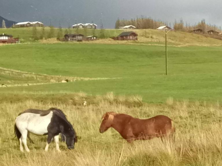 14467120_10154625614574901_205780313_o